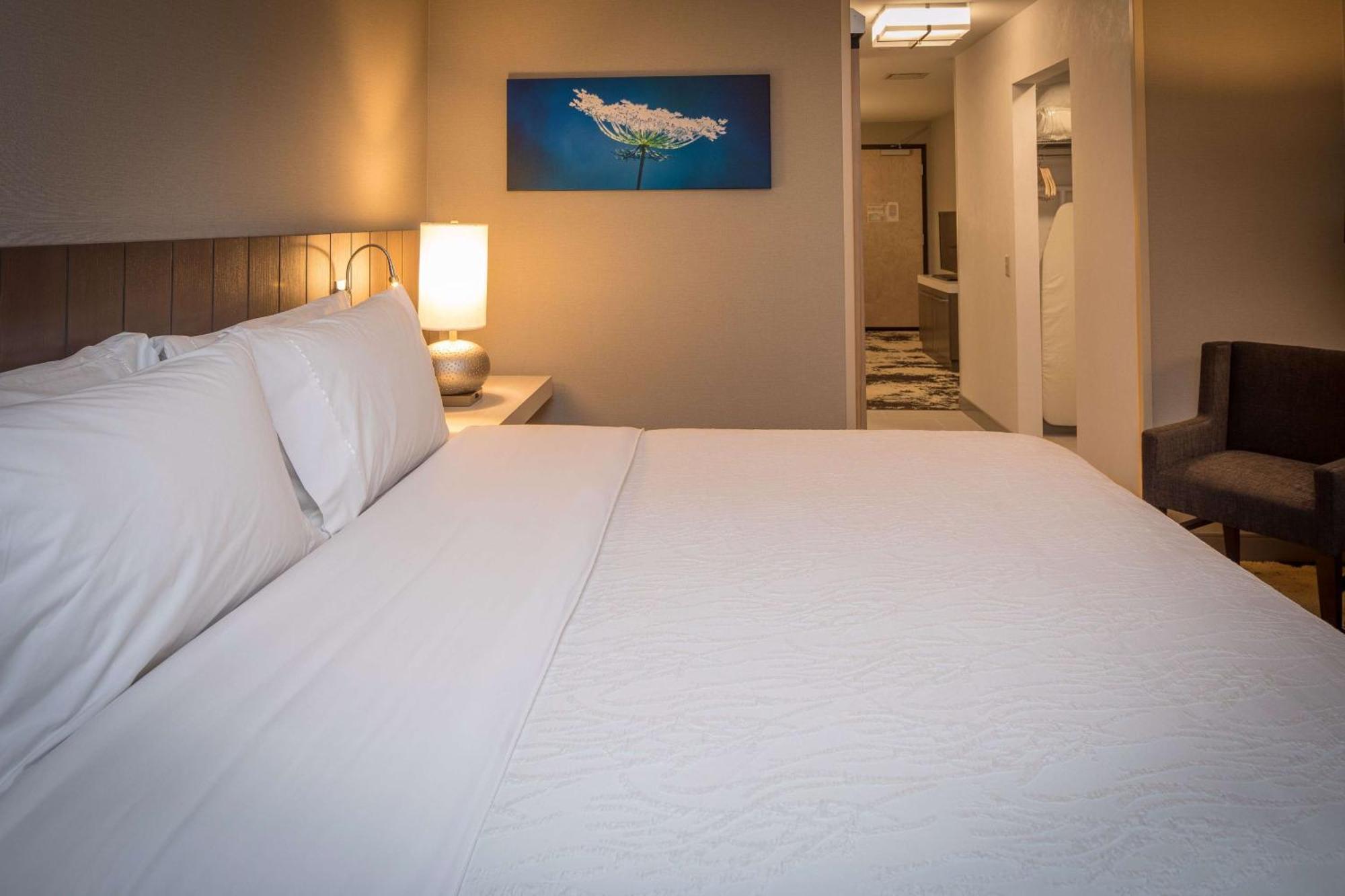 Hilton Garden Pittsburgh Airport 3*